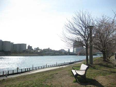 c0177332_23232159.jpg