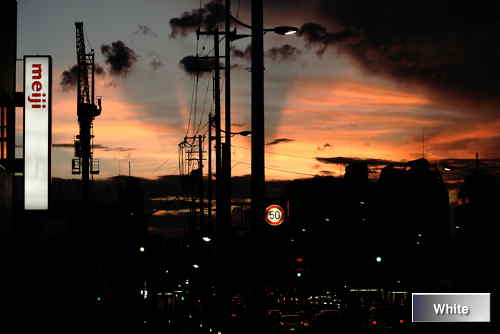 c0227134_2247977.jpg
