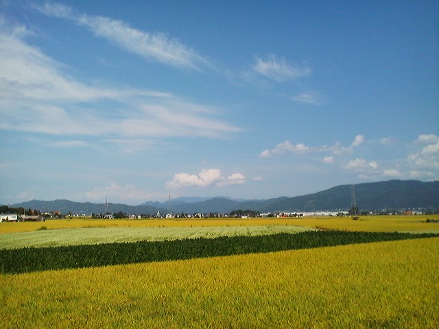 a0272241_17112392.jpg