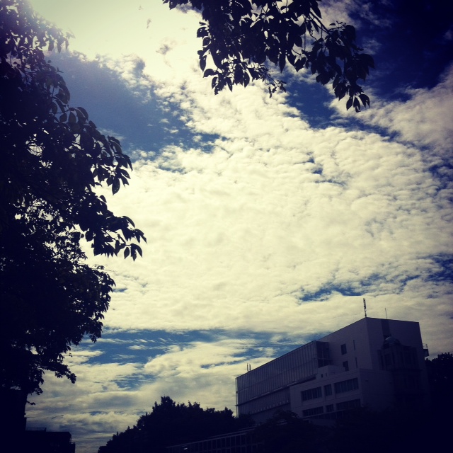 d0021649_918526.jpg