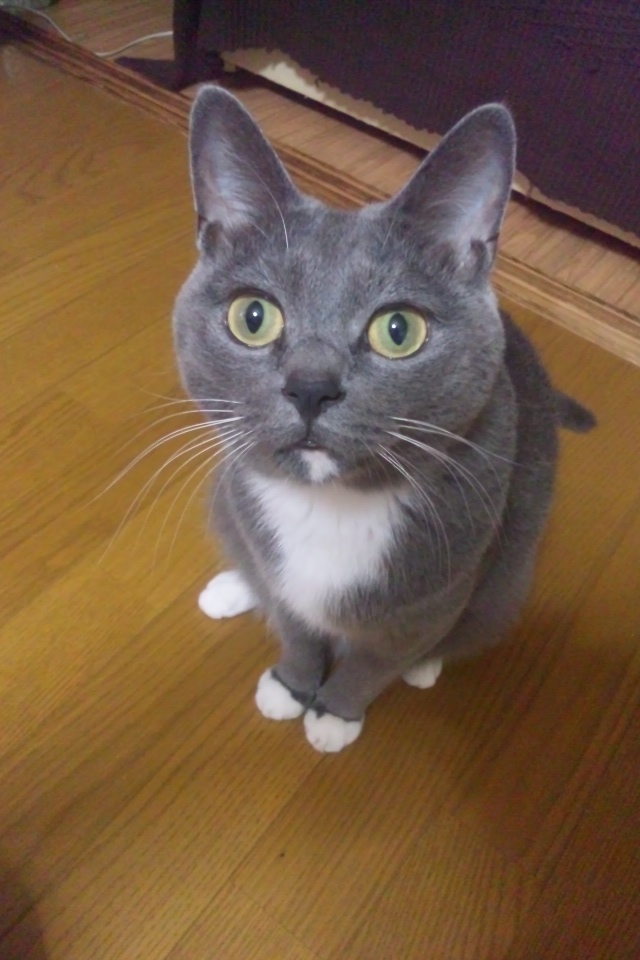c0208352_1510135.jpg