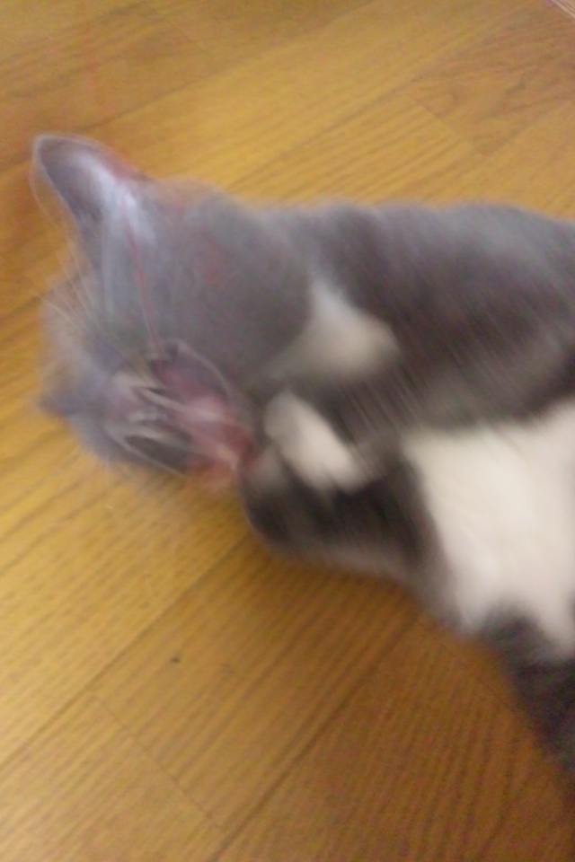 c0208352_15125537.jpg