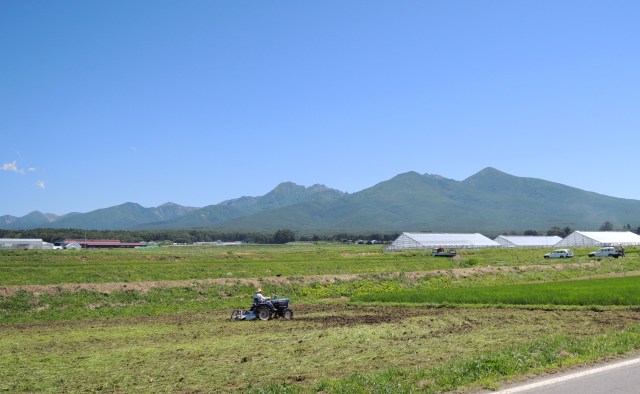 b0173754_1336119.jpg