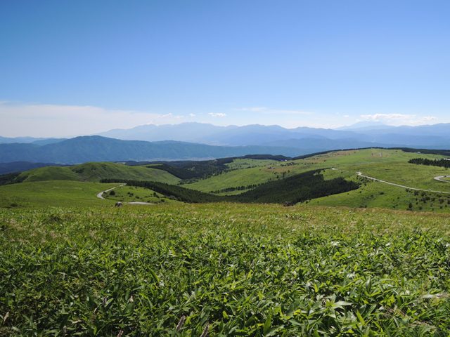 b0173754_1410132.jpg