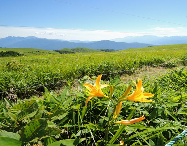 b0173754_143742.jpg
