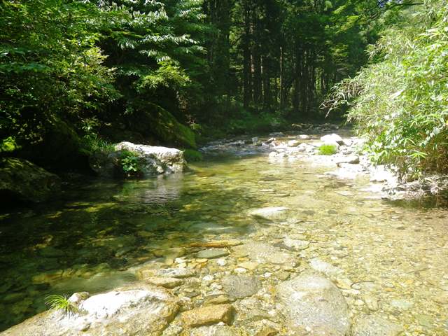 b0177355_2122466.jpg