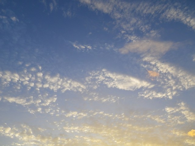 b0177355_21273.jpg