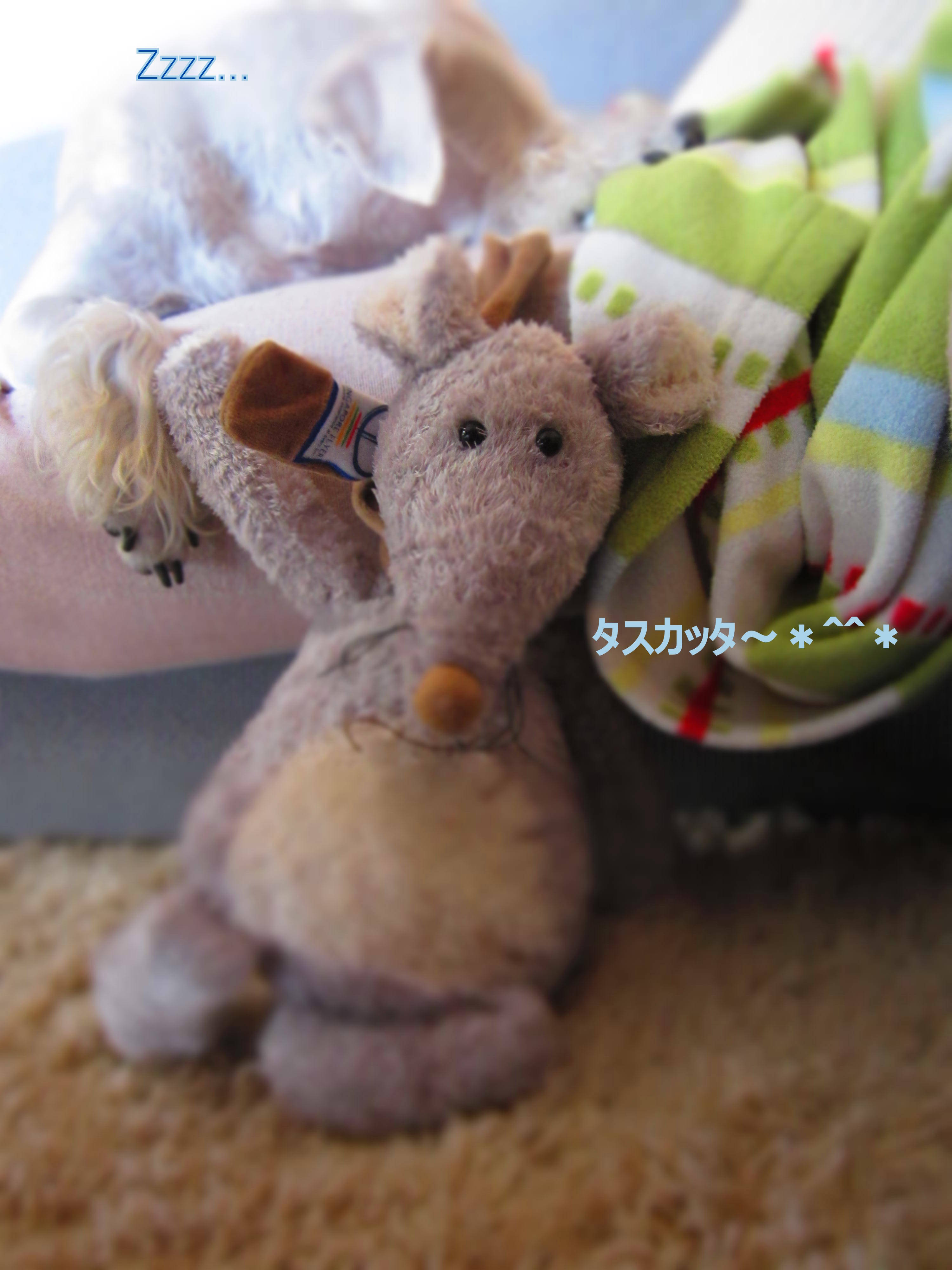 d0264176_1237129.jpg
