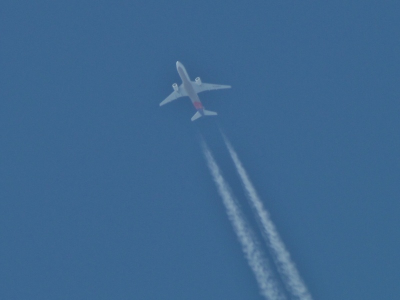 c0183777_4155337.jpg