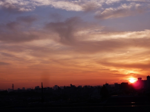 e0207477_954150.jpg