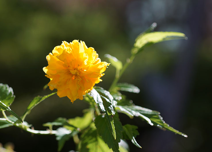 b0057679_827366.jpg