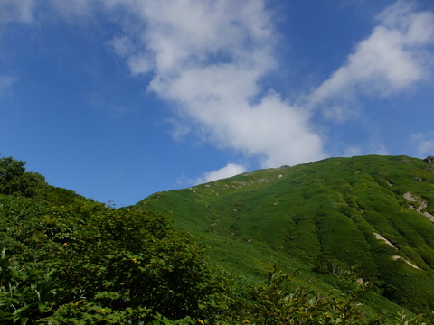 a0043982_16501085.jpg