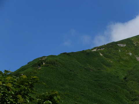 a0043982_1650370.jpg