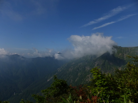 a0043982_1651579.jpg