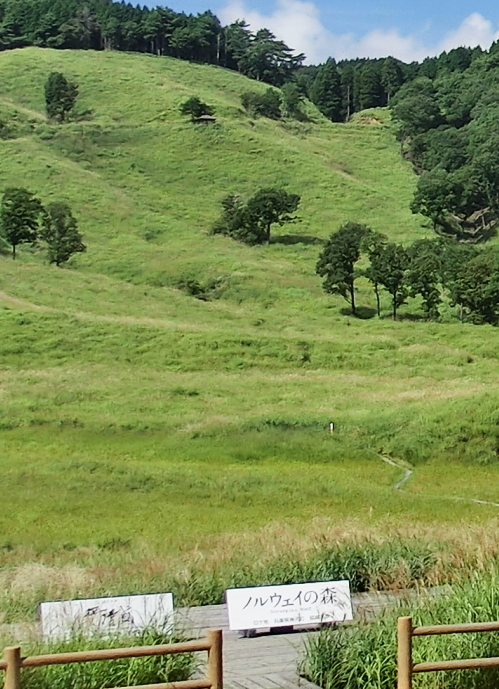 d0179983_21465988.jpg