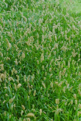 b0226089_13584916.jpg