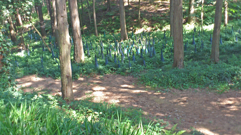 c0229591_16382294.jpg