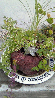 a0285997_10472793.jpg