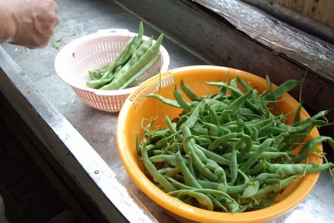 a0138198_15551637.jpg