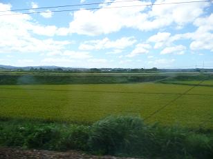 b0061798_1705567.jpg