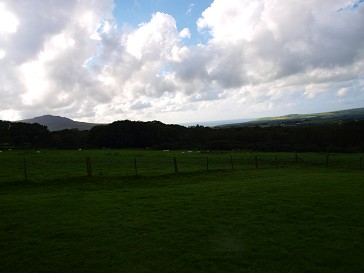 b0110999_19163070.jpg