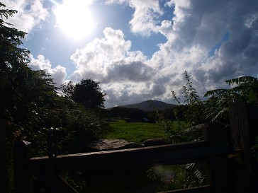 b0110999_1917619.jpg
