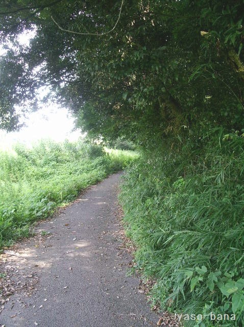 e0025300_144039.jpg