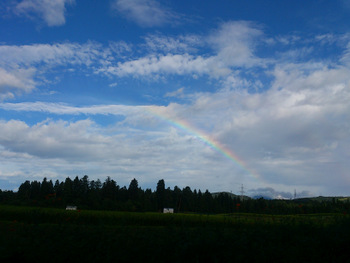 b0217204_22353741.jpg