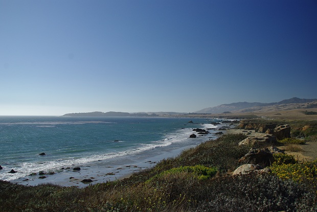 f0038904_802719.jpg