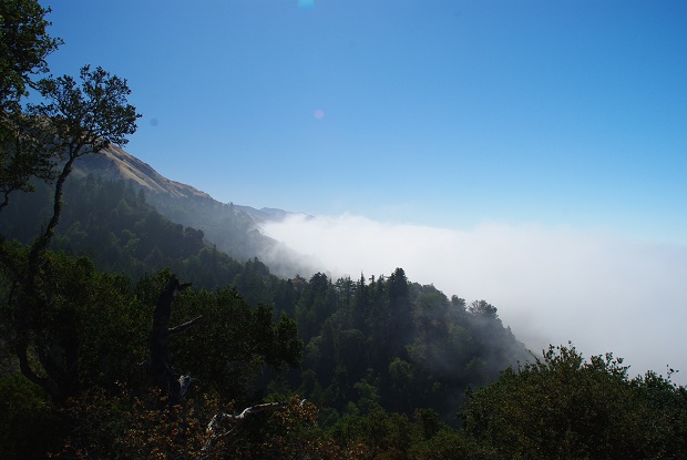 f0038904_855584.jpg