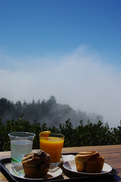 f0038904_8561523.jpg