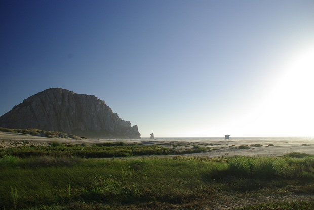 f0038904_872995.jpg