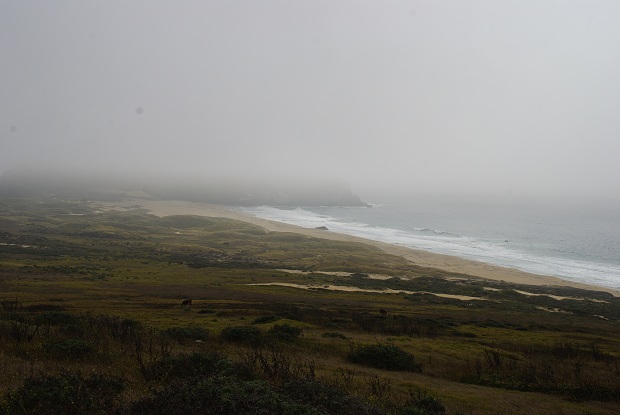 f0038904_929919.jpg