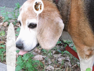 b0253905_010146.gif
