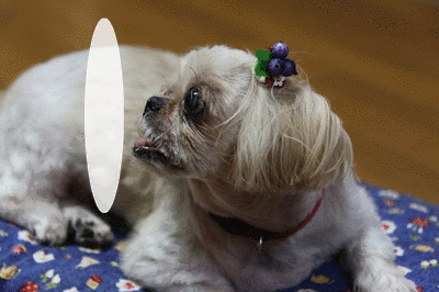 b0253905_0112023.gif
