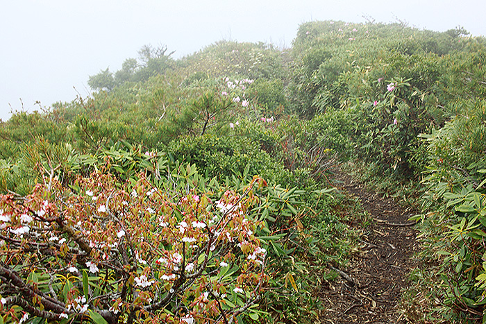 a0148606_1516566.jpg