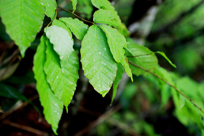 a0148606_1525589.jpg