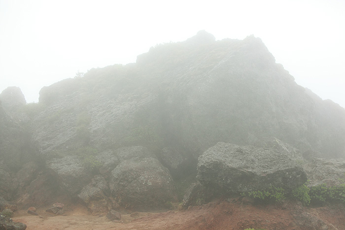 a0148606_21231212.jpg