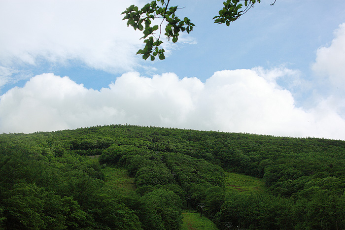 a0148606_21283876.jpg