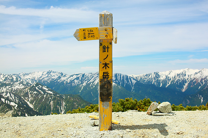 a0148606_2214263.jpg