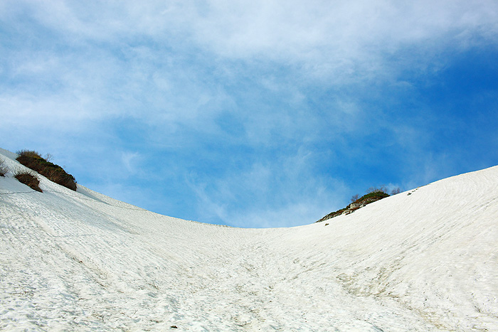 a0148606_2224297.jpg