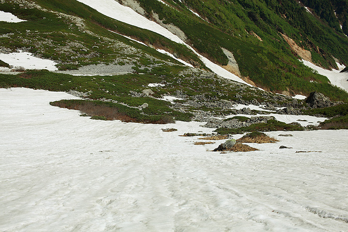 a0148606_229136.jpg
