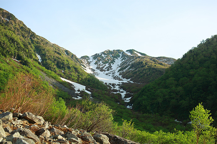 a0148606_23541496.jpg