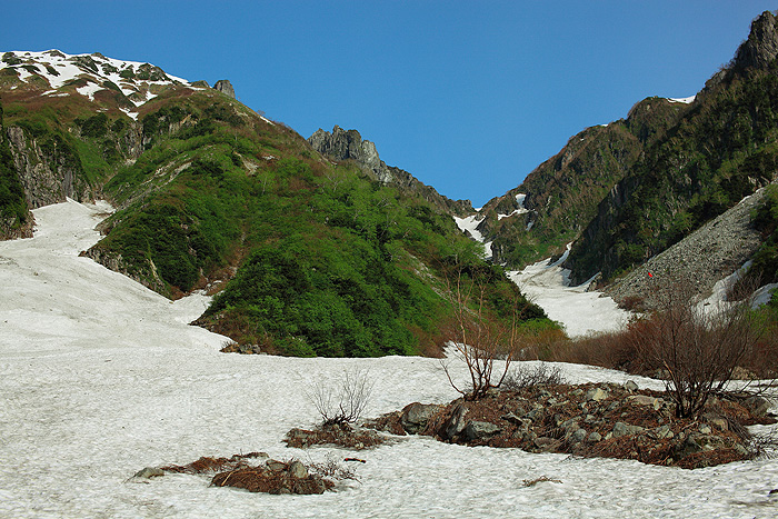 a0148606_23561739.jpg
