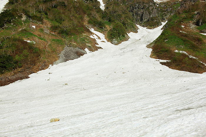 a0148606_23564351.jpg