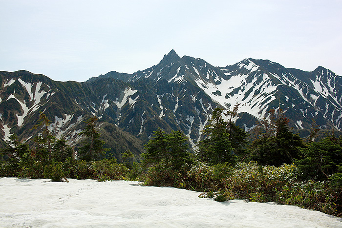 a0148606_23591774.jpg