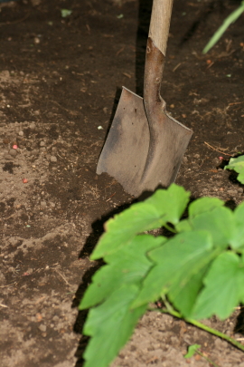 f0041606_19304827.jpg