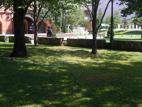 e0087008_11431119.jpg