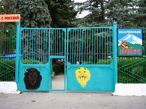 a0151913_20322515.jpg