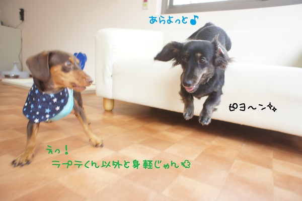 d0220513_151469.jpg